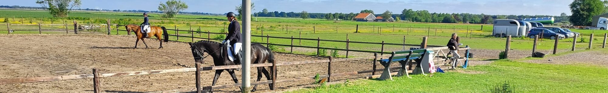 Paardensportvereniging SEO